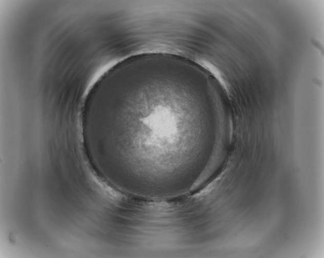 X0000095961120200801111356