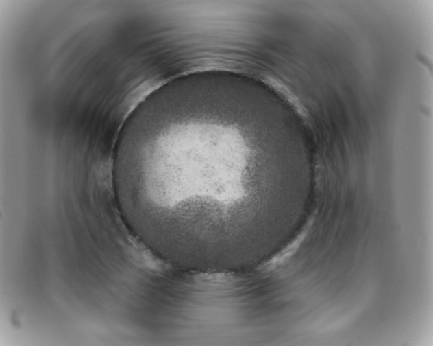 X0000095961121200801111356