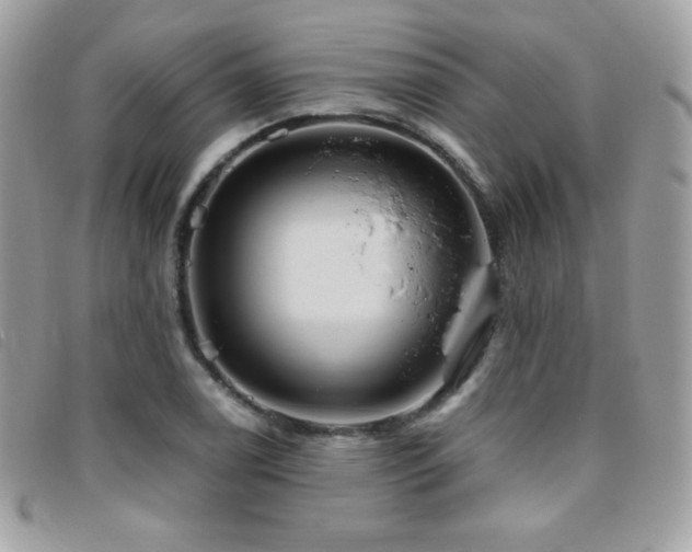 X0000095961122200801111356