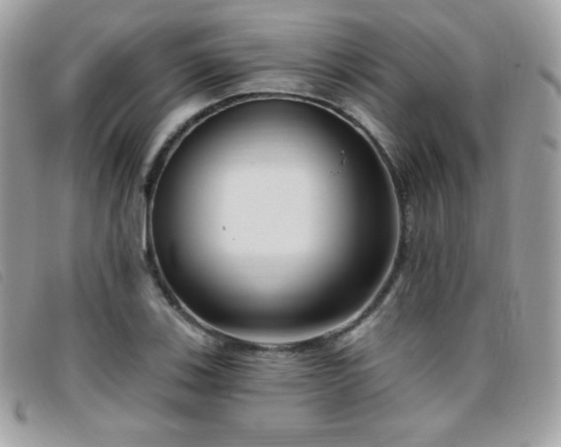 X0000095961123200801111356