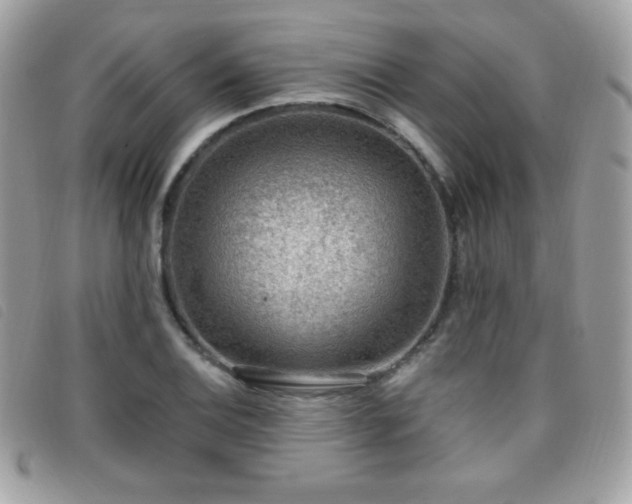 X0000095961124200801111356