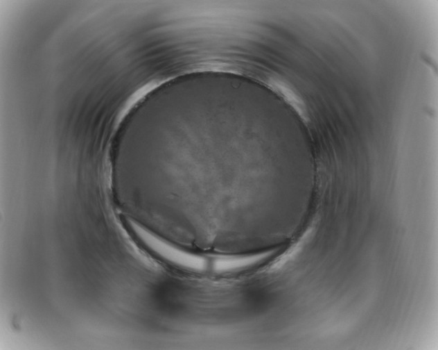 X0000095961125200801111356