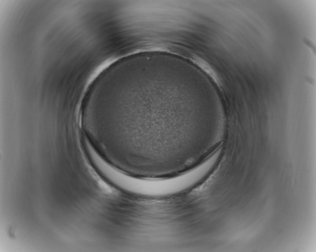 X0000095961127200801111356