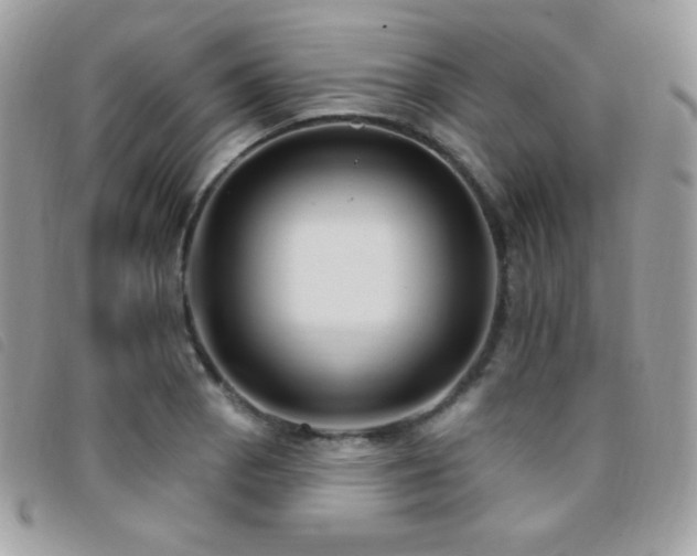 X0000095961129200801111356