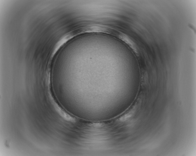 X0000095961130200801111356