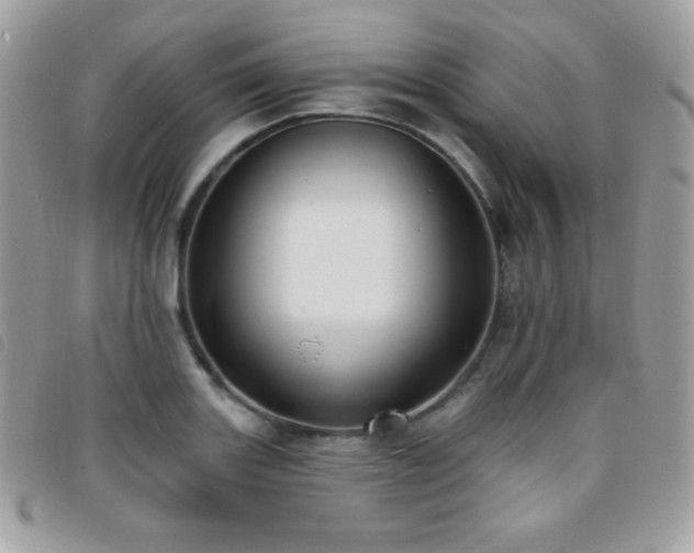X0000095961131200801111356