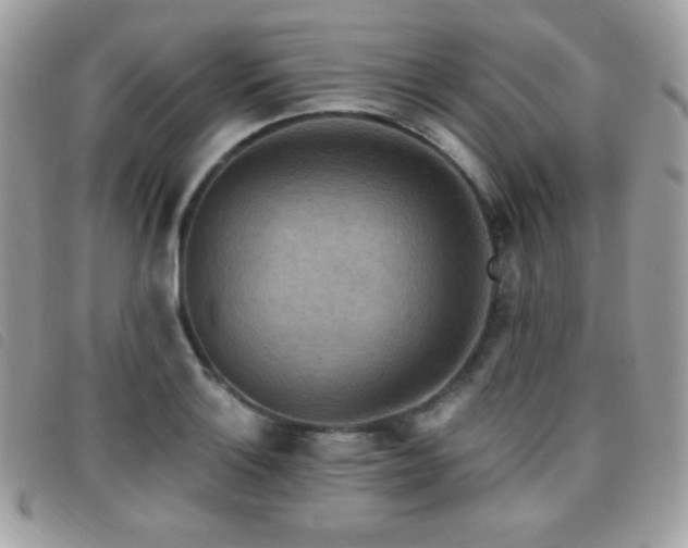X0000095961132200801111356