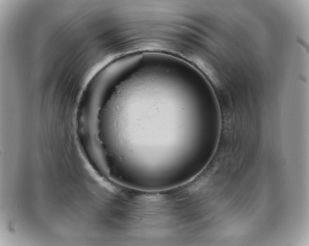 X0000095961134200801111356