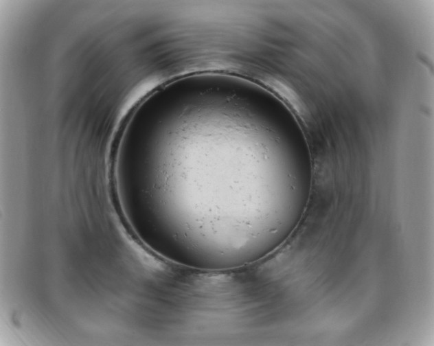 X0000095961135200801111356
