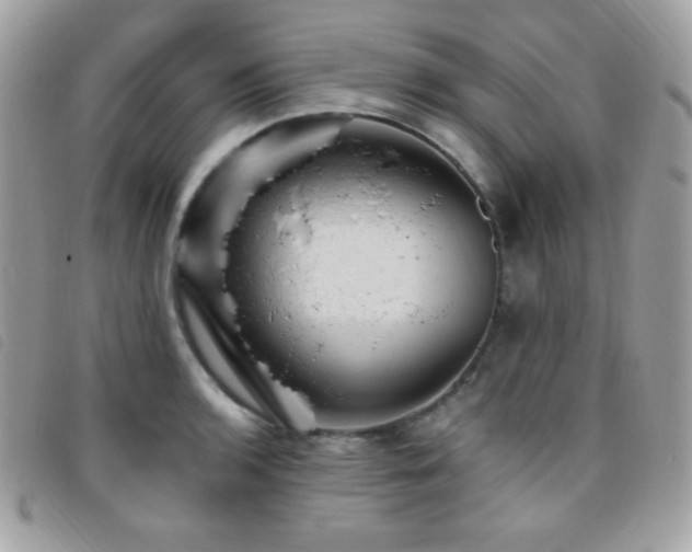 X0000095961136200801111356