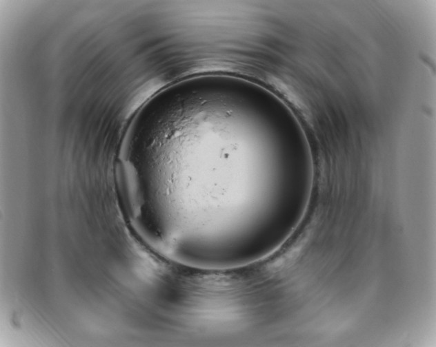 X0000095961137200801111356