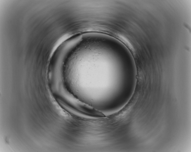 X0000095961138200801111356