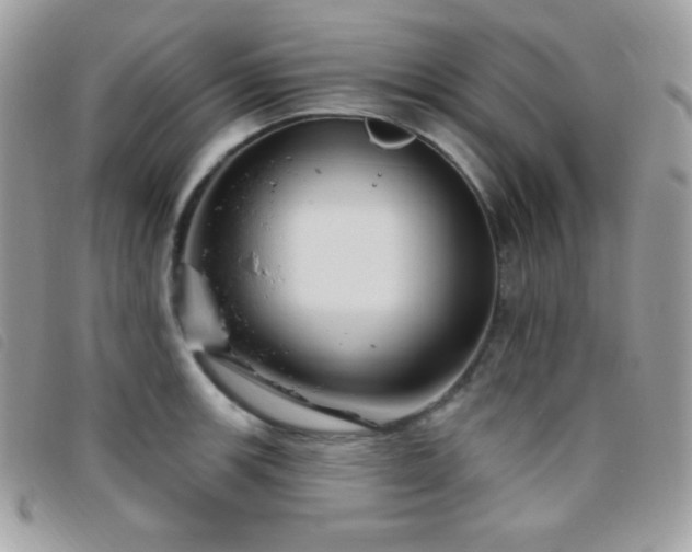 X0000095961139200801111356