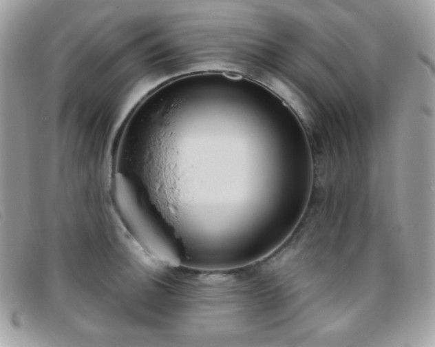 X0000095961140200801111356