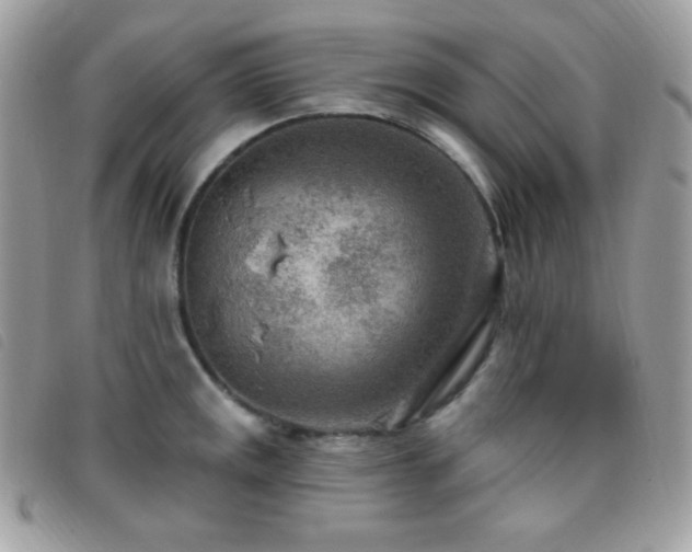 X0000095961141200801111356