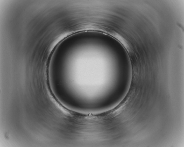 X0000095961142200801111356