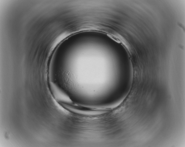 X0000095961143200801111356