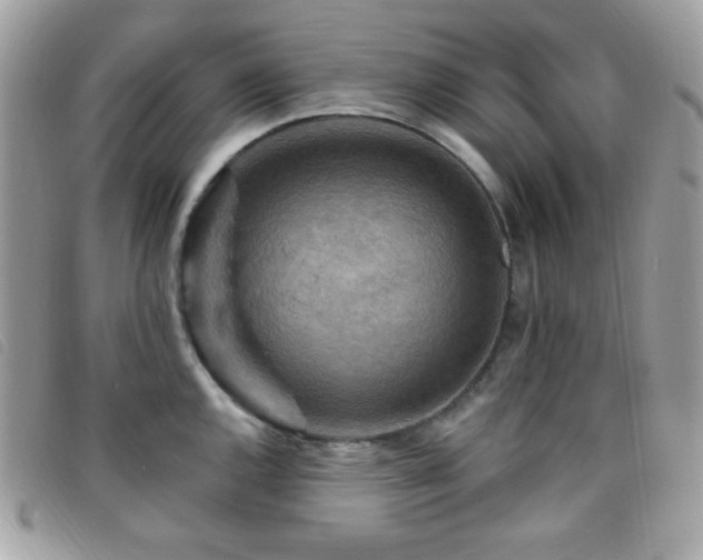 X0000095961144200801111356