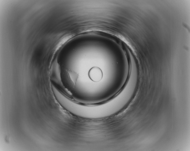 X0000095961145200801111356