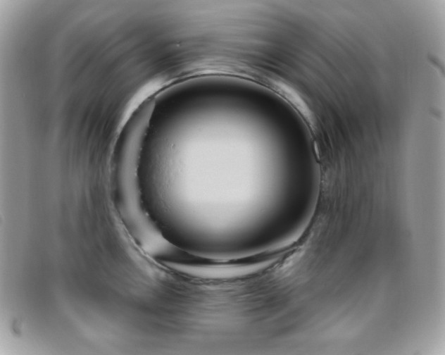 X0000095961146200801111356