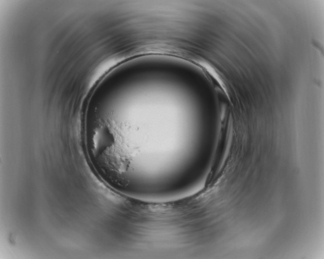X0000095961147200801111356