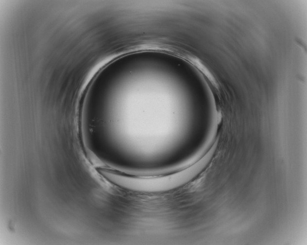 X0000095961148200801111356