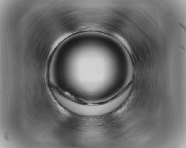 X0000095961149200801111356