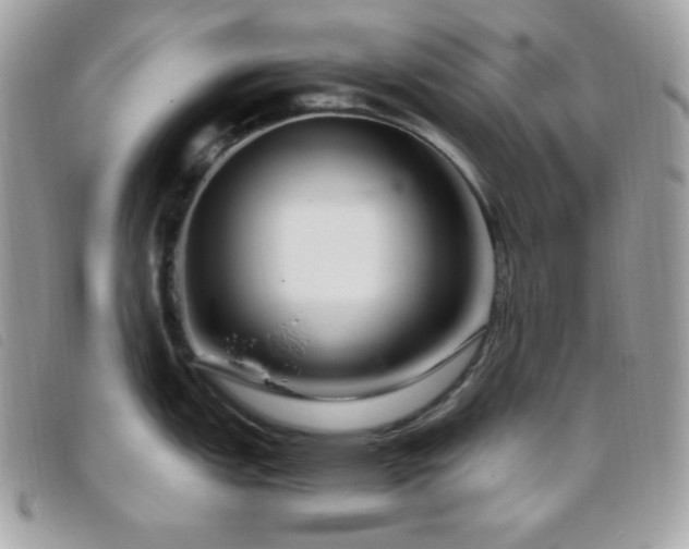 X0000095961151200801111356