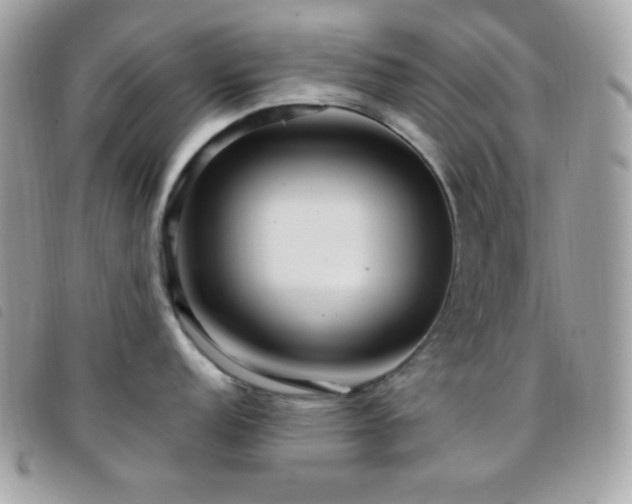 X0000095961152200801111356