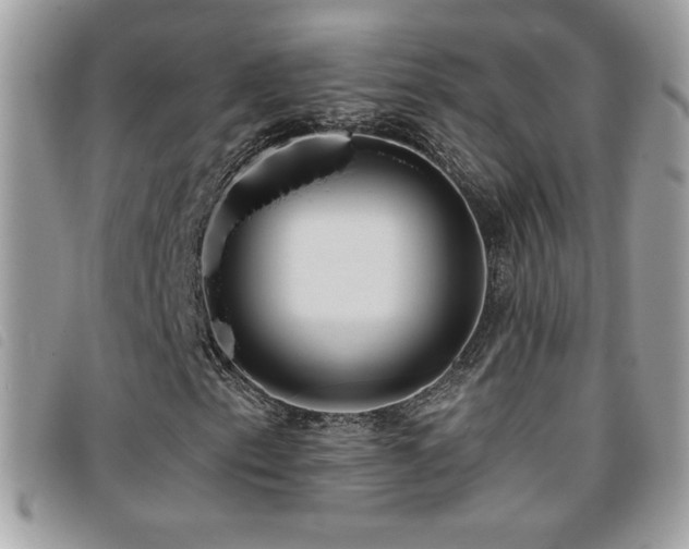 X0000095961153200801111356