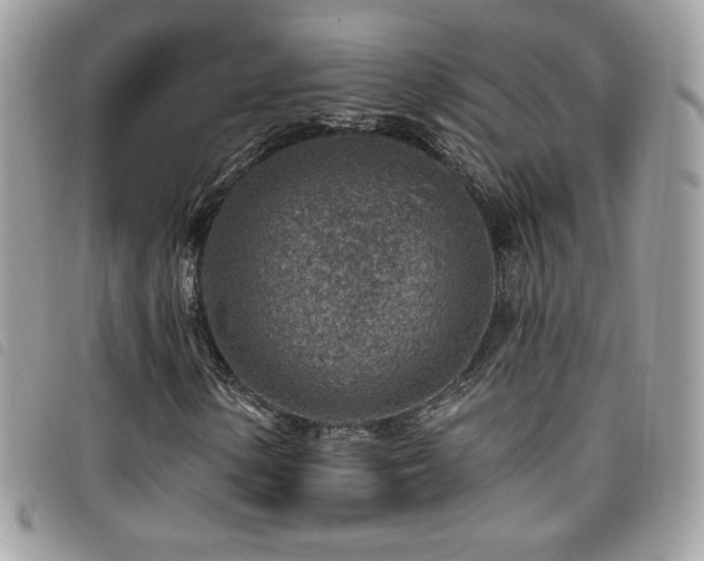 X0000095961154200801111356