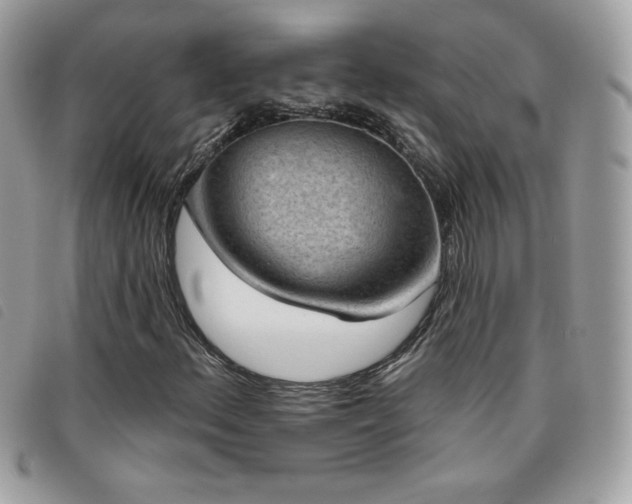 X0000095961156200801111356