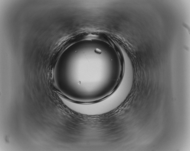 X0000095961157200801111356
