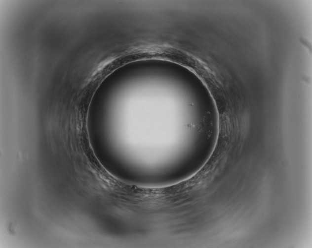 X0000095961158200801111356