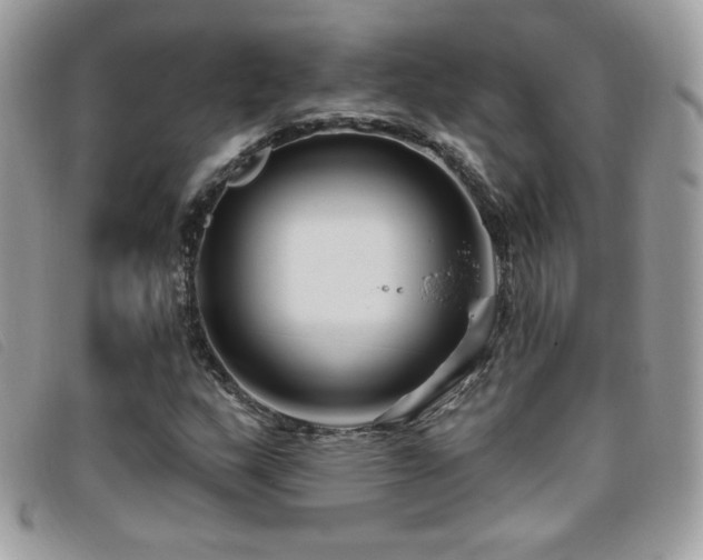 X0000095961159200801111356