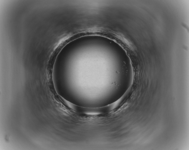 X0000095961160200801111356