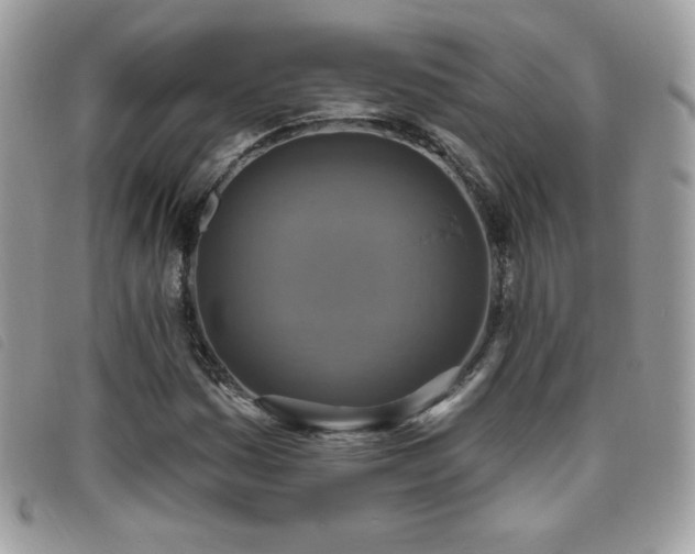 X0000095961161200801111356