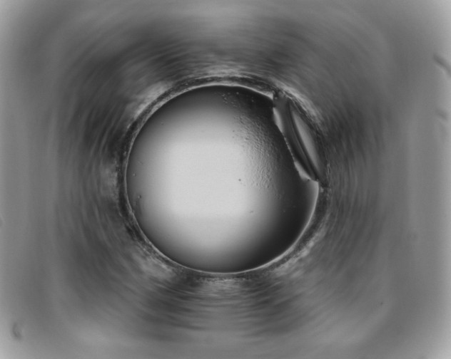 X0000095961162200801111356