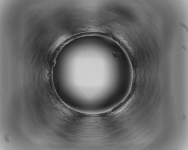 X0000095961163200801111356