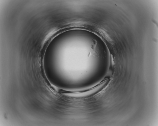 X0000095961164200801111356