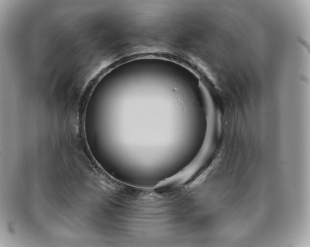 X0000095961165200801111356