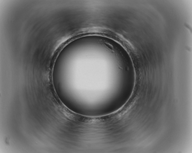 X0000095961166200801111356