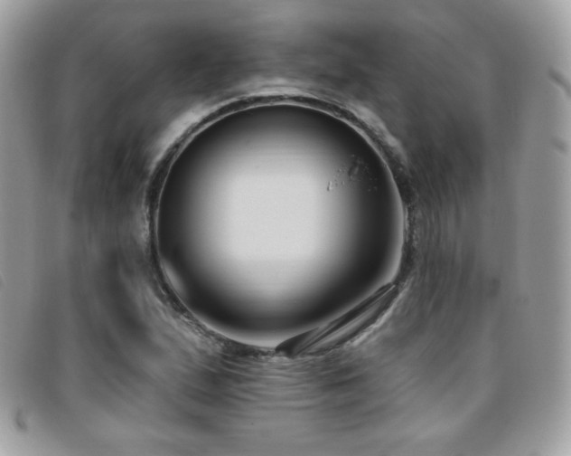 X0000095961167200801111356