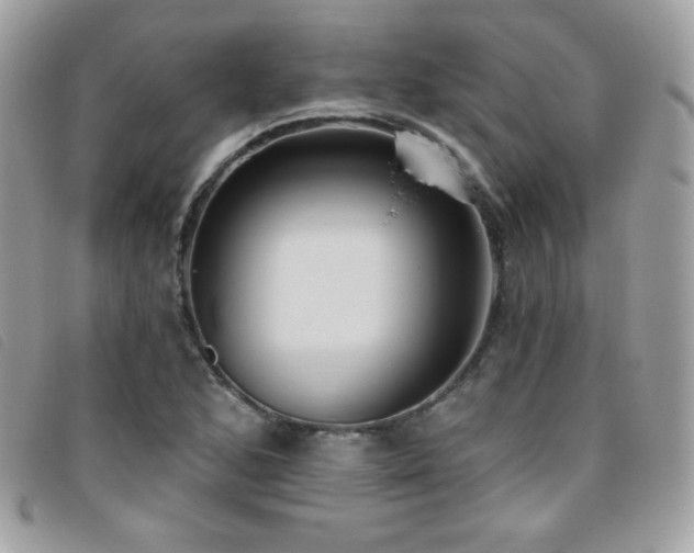 X0000095961168200801111356