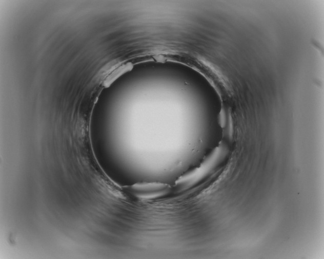 X0000095961169200801111356