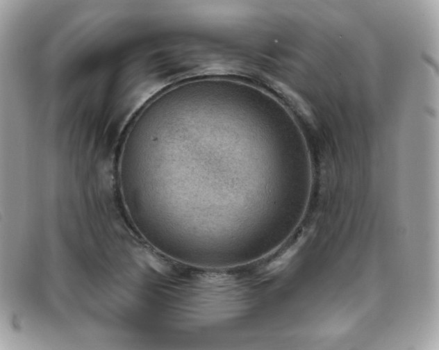 X0000095961170200801111356