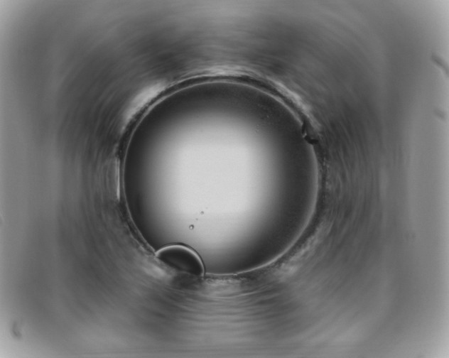 X0000095961171200801111356