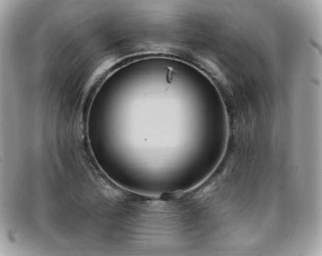 X0000095961172200801111355