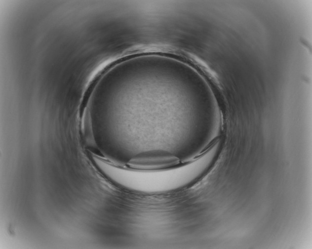 X0000095961174200801111355