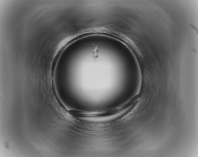 X0000095961176200801111355